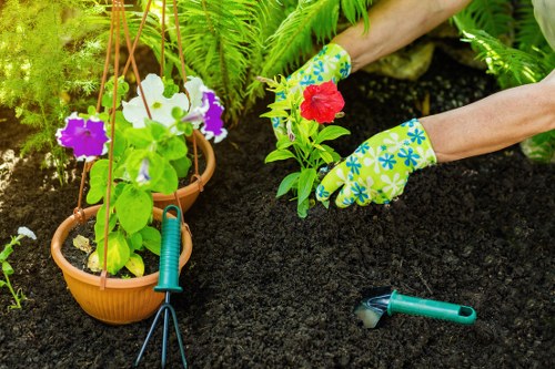Gardeners Fortis Green introducing a well-kept outdoor space