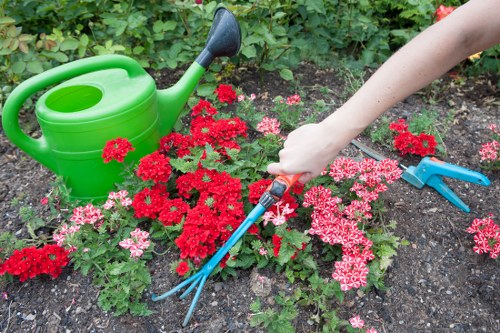 Garden clearance work with tools and cut branches in Fortis Green