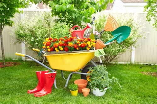 Safety-focused tree maintenance and removal service for a Fortis Green garden
