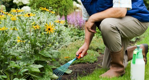 Professional gardening services in a Fortis Green residential garden