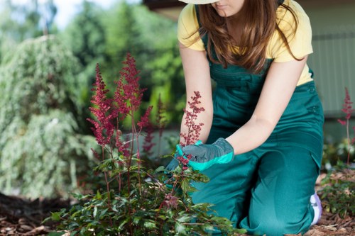 Payment, invoicing, and service charge terms for gardeners