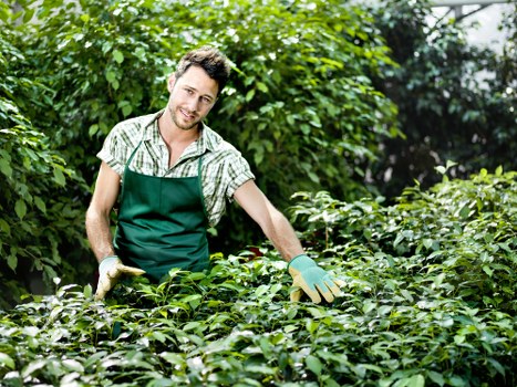 Charity reuse partnership for donated garden items