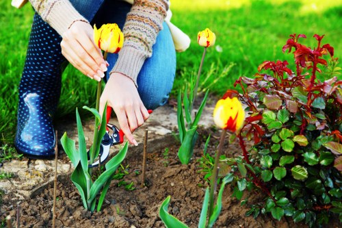 Overview of cookie types used by Gardeners Fortis Green
