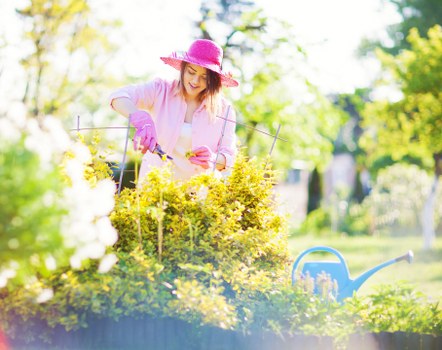 Training and supervision for gardeners Fortis Green