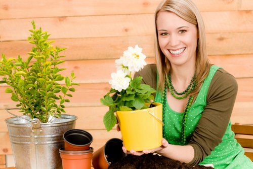 Professional gardener shaping hedges in Fortis Green