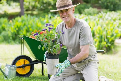 Lawn and hedge maintenance in a Fortis Green outdoor space