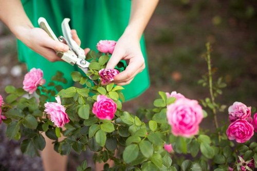 Seasonal garden upkeep with trimmed hedges and healthy lawn