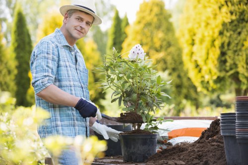 Fortis Green garden care with seasonal planting and pruning