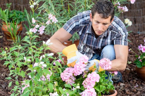 Discussing a garden maintenance issue during the complaint process