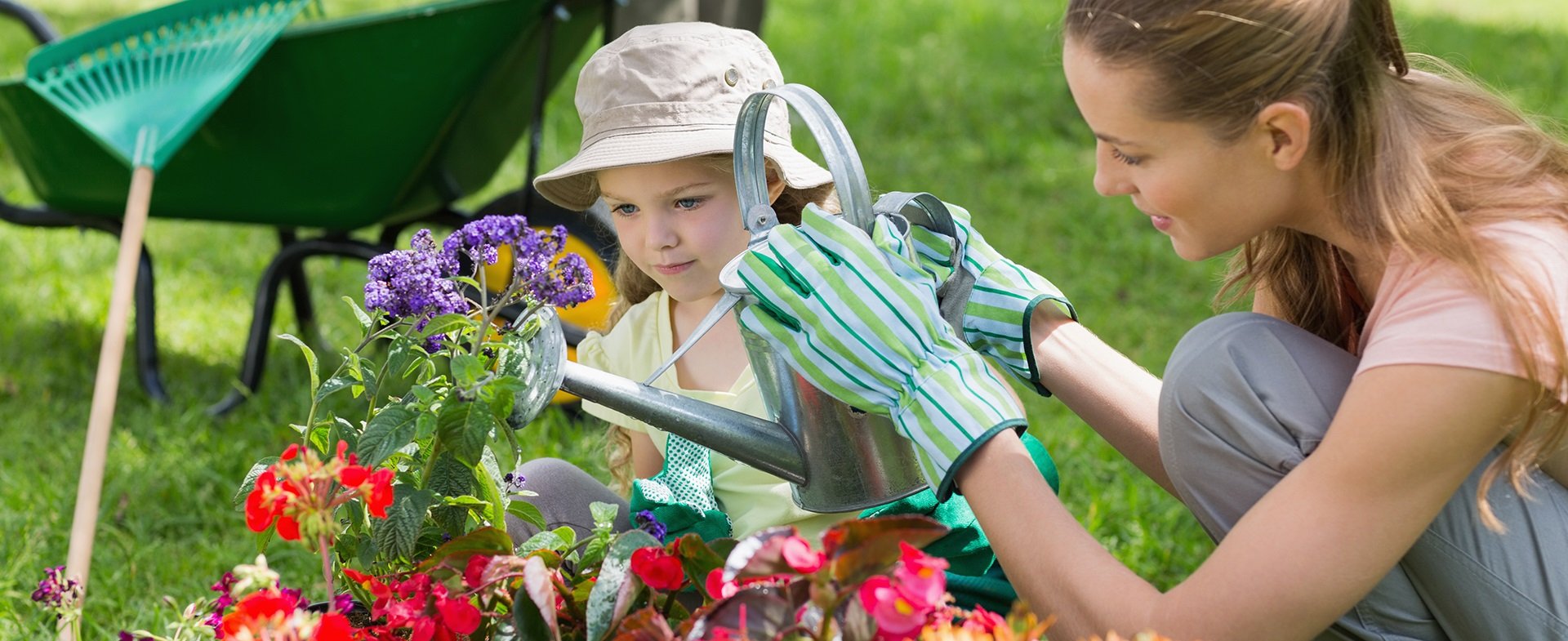 Gardeners Fortis Green